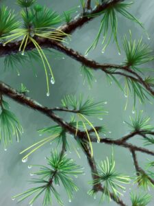 vegan skincare retinol and vitamin c home and body