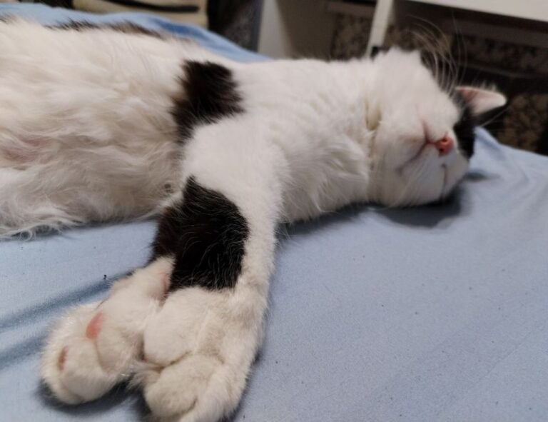 aggr8taxes investment savings by aggreg8