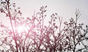 aggr8taxes savings tips