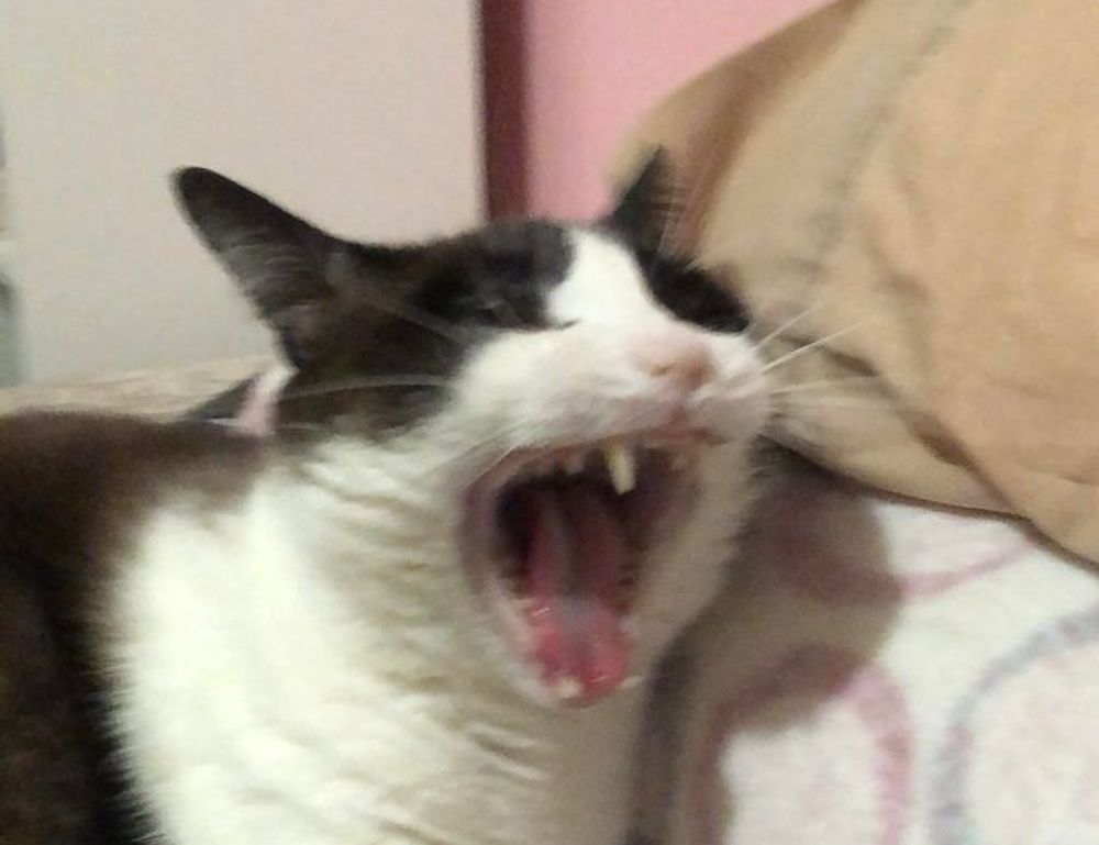 alletomir wealth management reviews