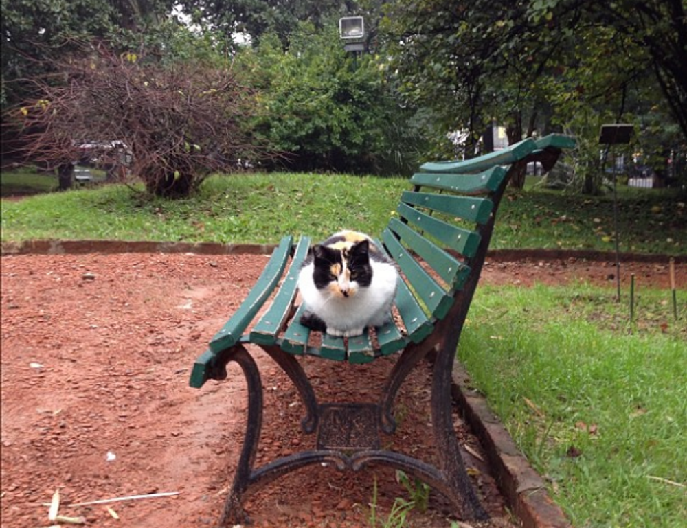 alletomir wealth management