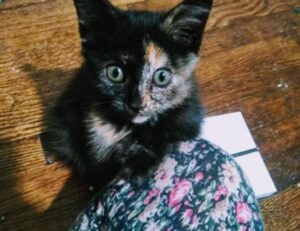 best investment tips for beginners discommercified