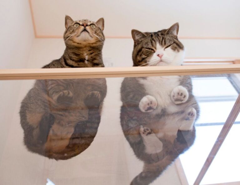 contracts aggr8taxes