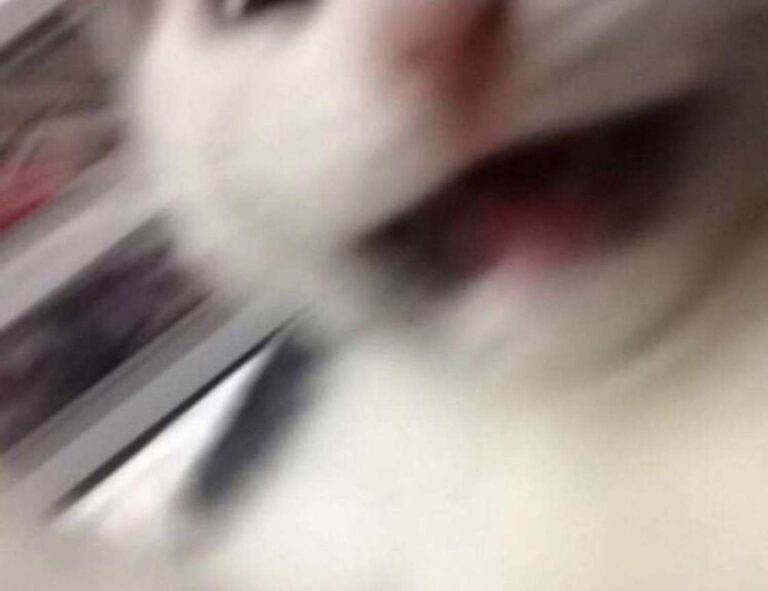 discapitalied finance updates by disquantified