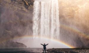 discommercified economic guide from disquantified