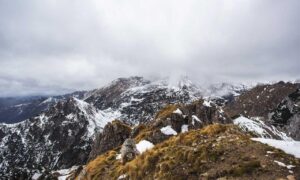 discommercified money guide by disquantified