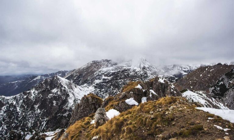 discommercified money guide by disquantified