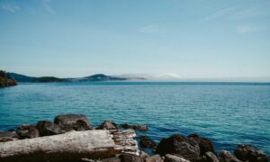 disfinancified financial guide from disquantified