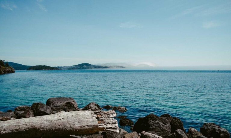 disfinancified financial guide from disquantified