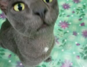 economy updates discapitalied