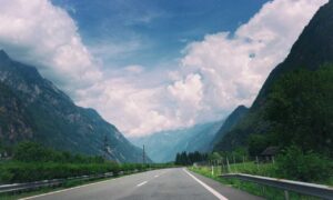 how does alletomir make money