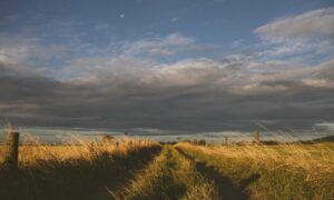 how to calculate taxes aggr8taxes