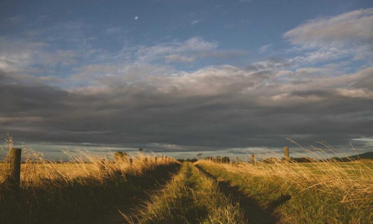 how to calculate taxes aggr8taxes