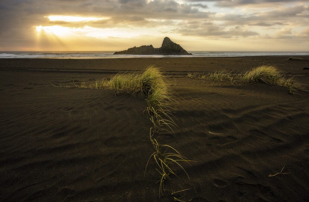 investment guide discommercified