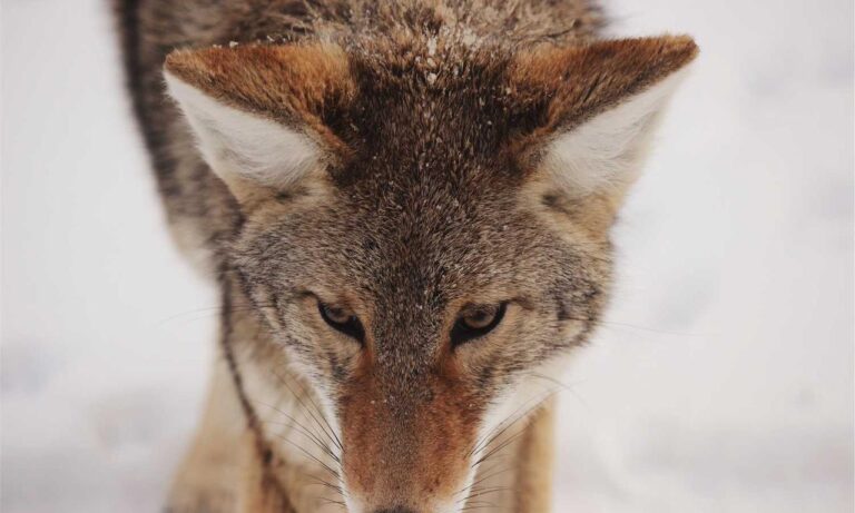 investment hacks discommercified