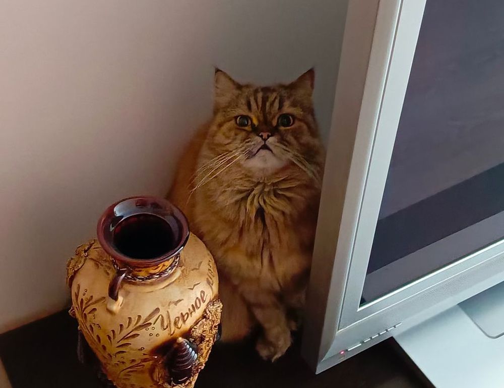 investment tips discommercified