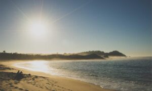 investment tips discommercified