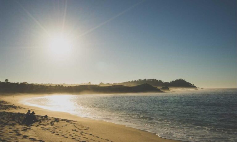 investment tips discommercified