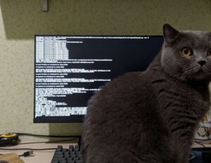 land plans aggr8taxes