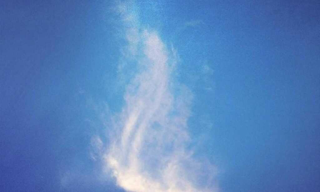 how to find a good business to start disbusinessfied