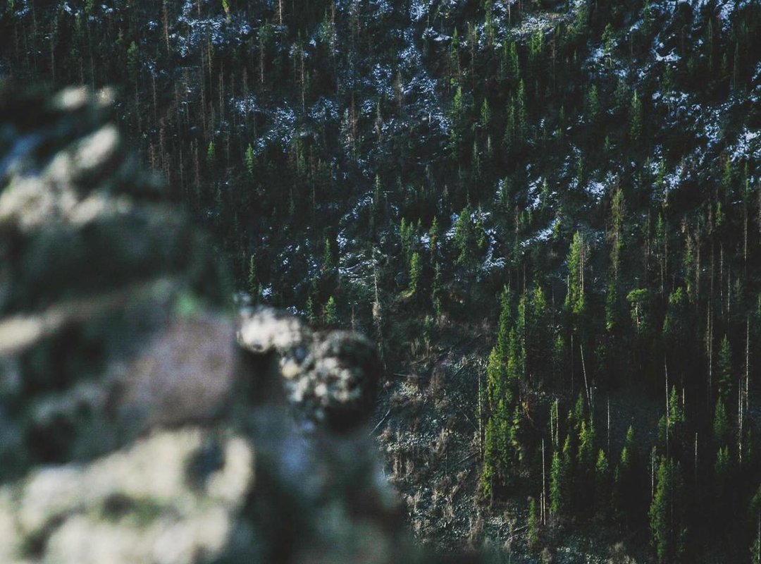 Putting 405 Pounds into Perspective: Real-World Comparisons