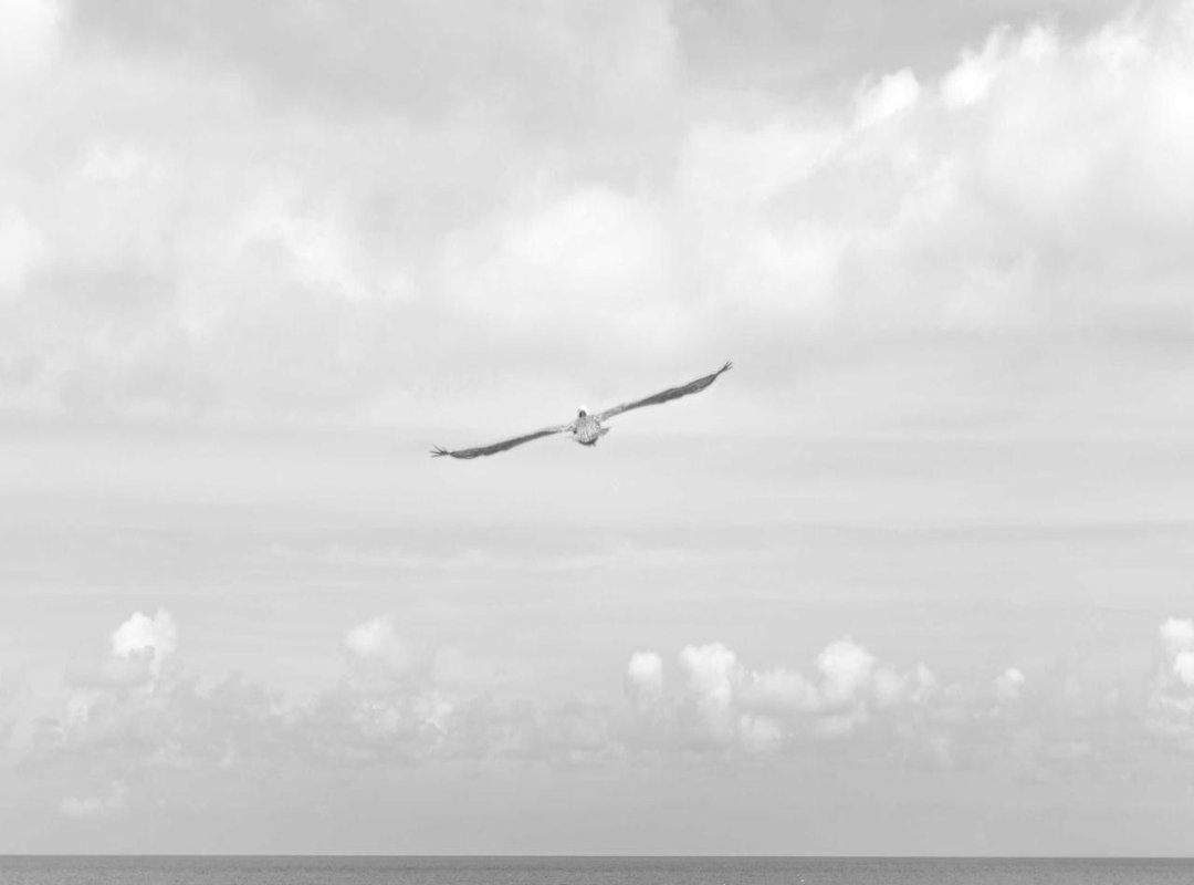 The End of an Era: What Happened to the Swansinger Enterprise?