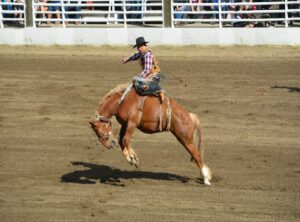 bucking hips meaning