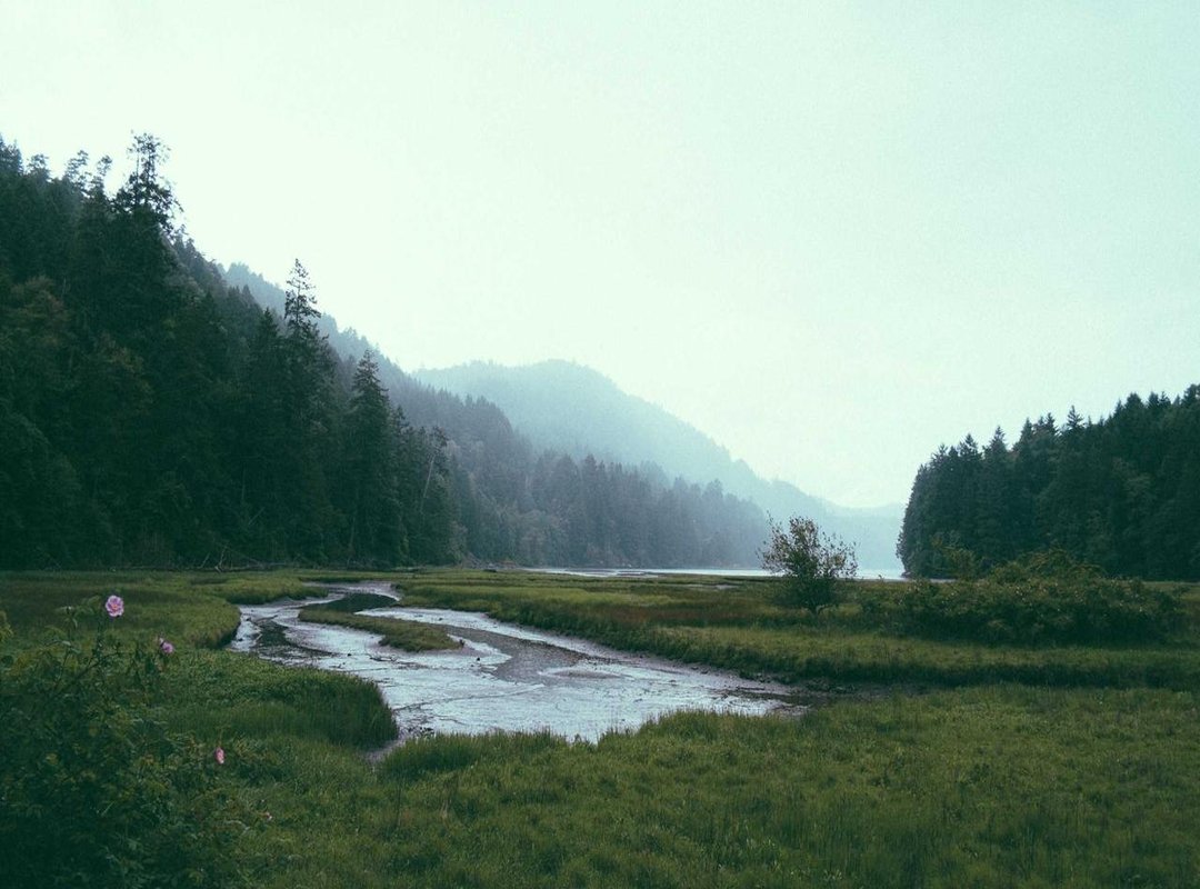 Global Cousins: Similar Pranks Around the World