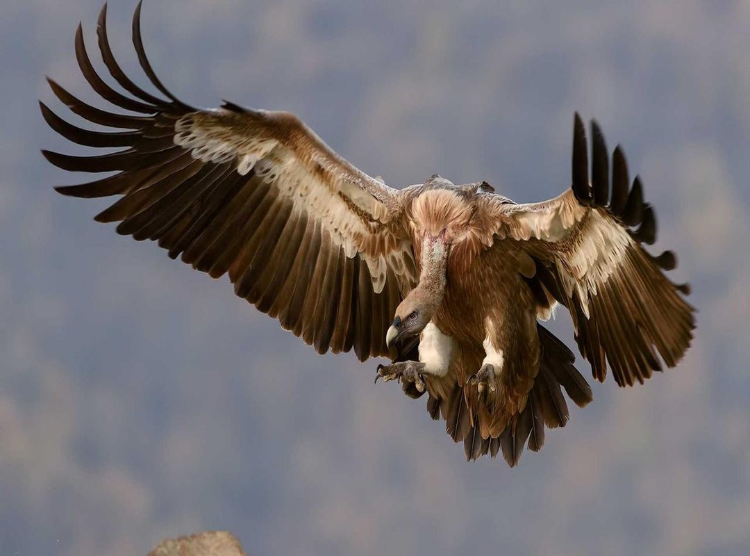 A New Chapter: Authentic Images of Life After Prison