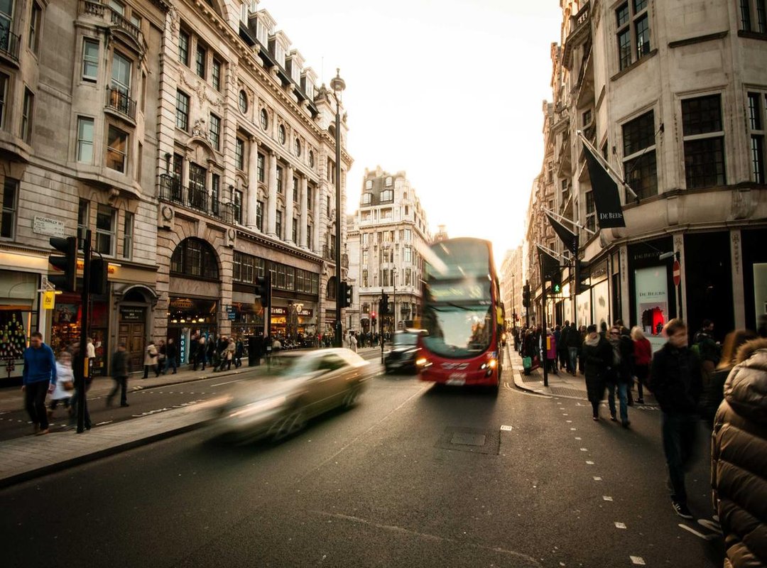 Building Your Design: Essential Elements to Pair with Your Koi