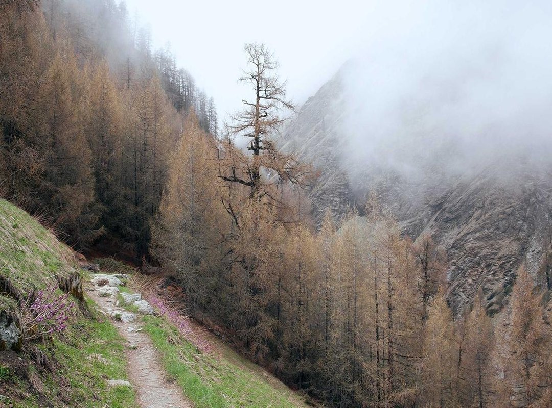 Fueling a Champion: The Nutrition Behind the Performance