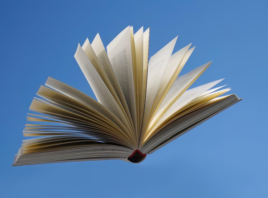 How to Read and Analyze the Novel