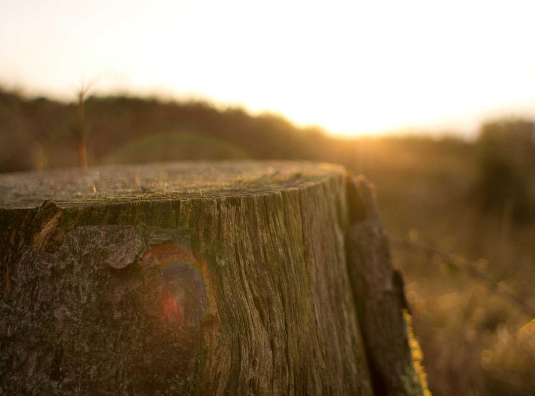 Making a Great Impression: Communication and First Steps