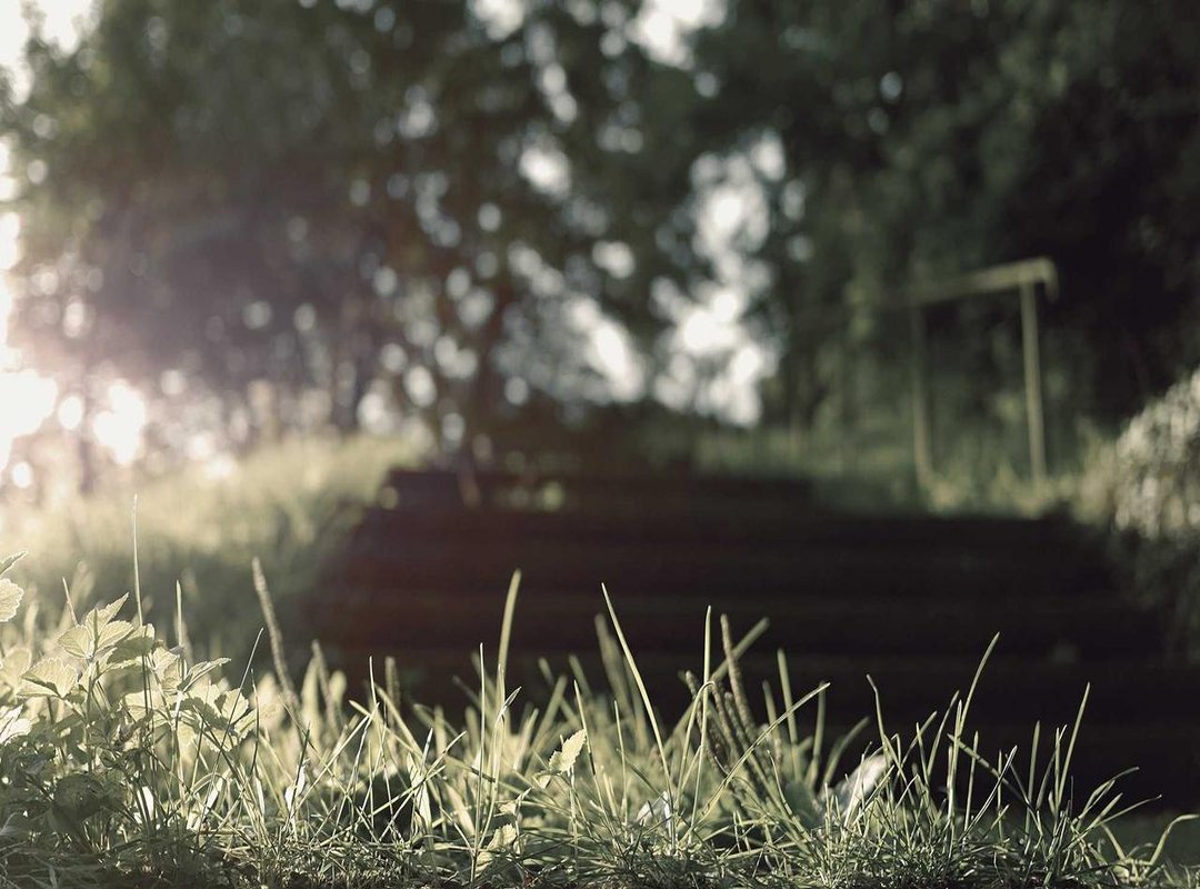 A Child's Take on Global Issues: Quotes on Politics and Humanity