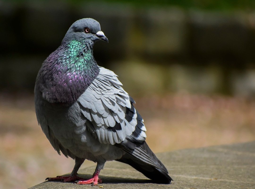 What Sets Trade 600 Eprex Apart from Other Platforms?