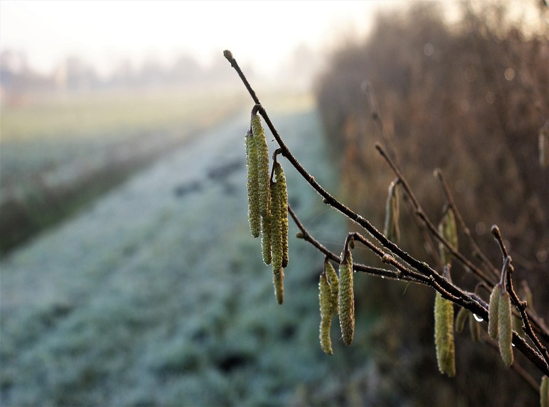 Top Genes and Must-Read Titles You Can Find on VyManga